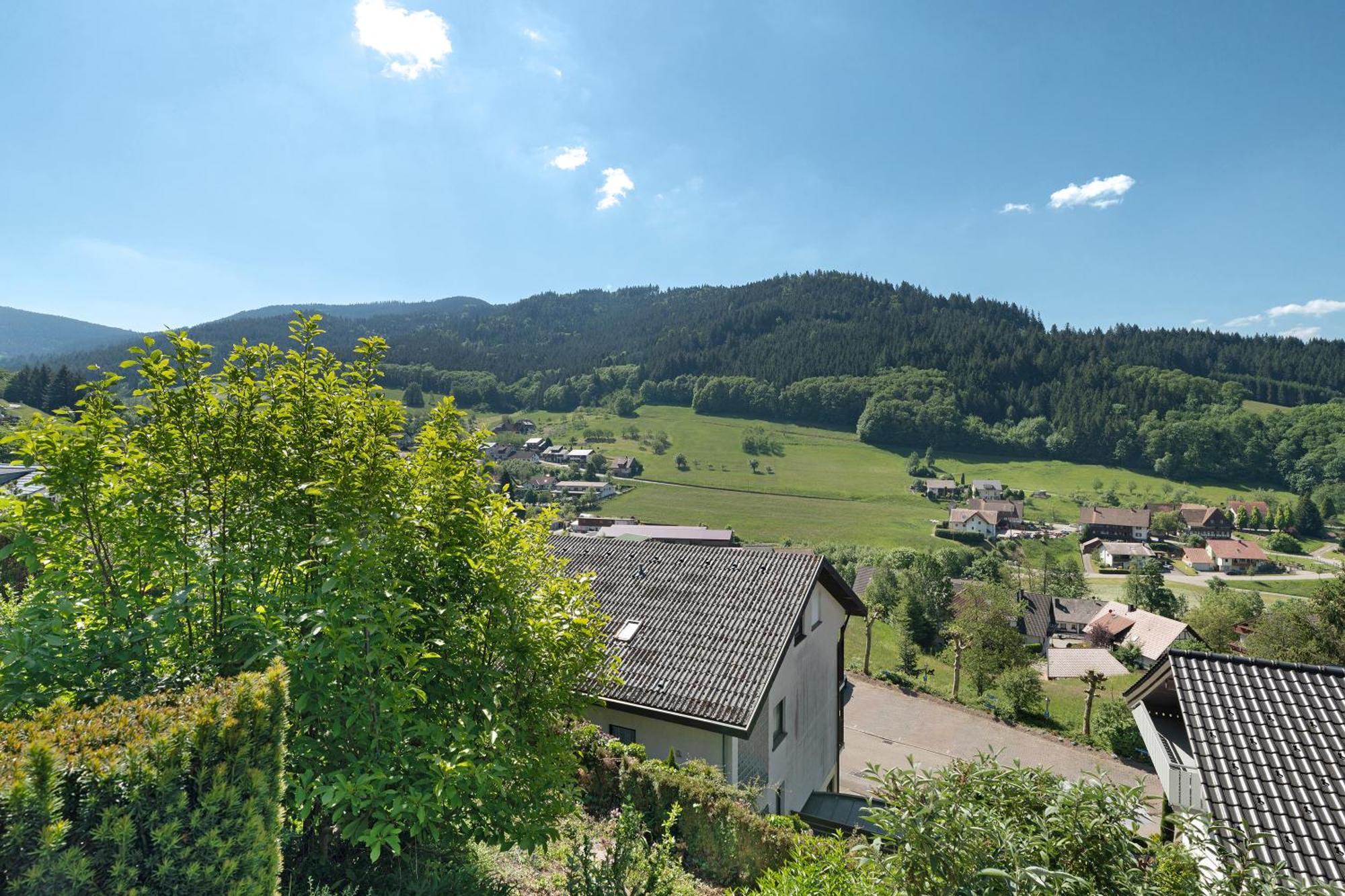 Ferienwohnung KuckucksLockennest Seebach Exterior foto